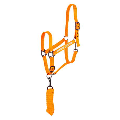 Imperial Riding SH Spring Vibes Headcollar And Rope #colour_neon-orange