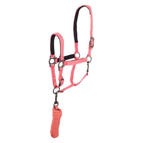 Imperial Riding Sunday Funday Halter With Rope #colour_diva-pink