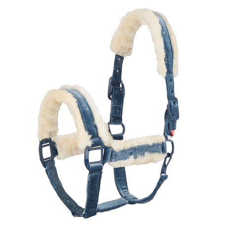 Imperial Riding Ambient Soft Star Headcollar #colour_blue-dancer