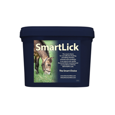 Horslyx Smartlick Original Lick