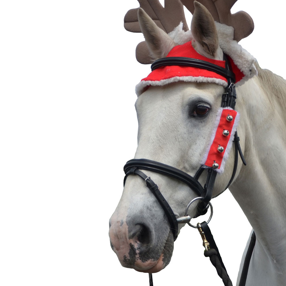 Christmas Santa Bridle Set