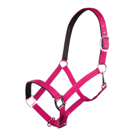 HKM Charming Head Collar #colour_pink