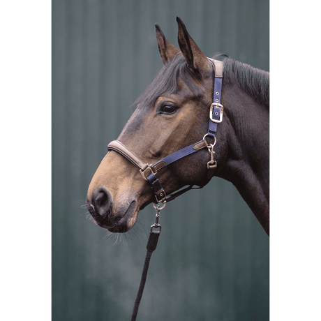 HKM Luna Leather & Nylon Head Collar #colour_deep-blue-brown