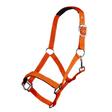 HKM Sydney Style Head Collar With Soft Padding #colour_neon-orange