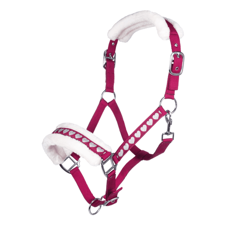 HKM Sweet Valentine Head Collar #colour_pink-silver