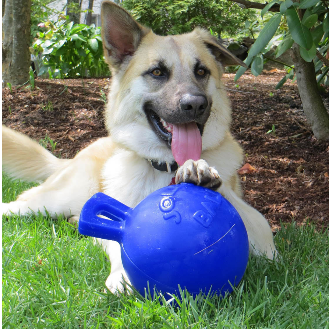 Jolly ball tug n toss best sale