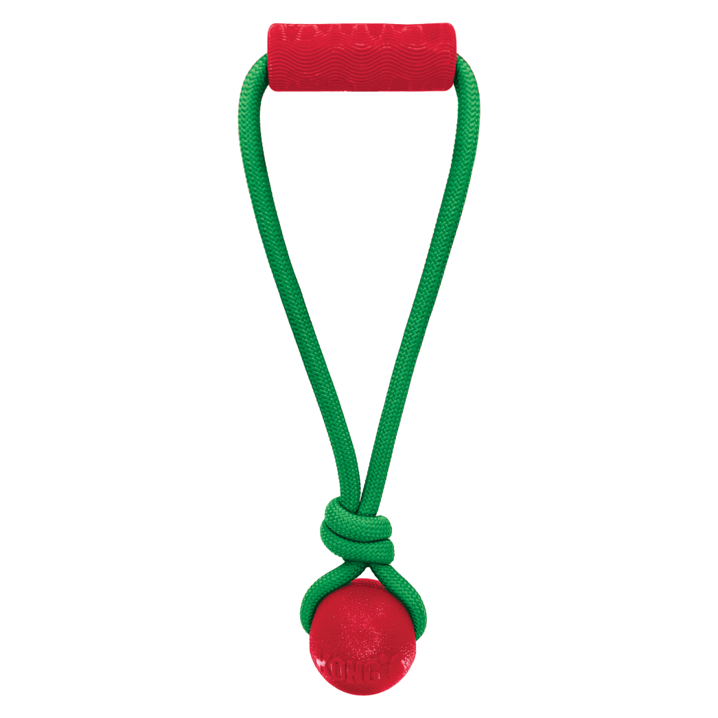 Orange sales kong ball