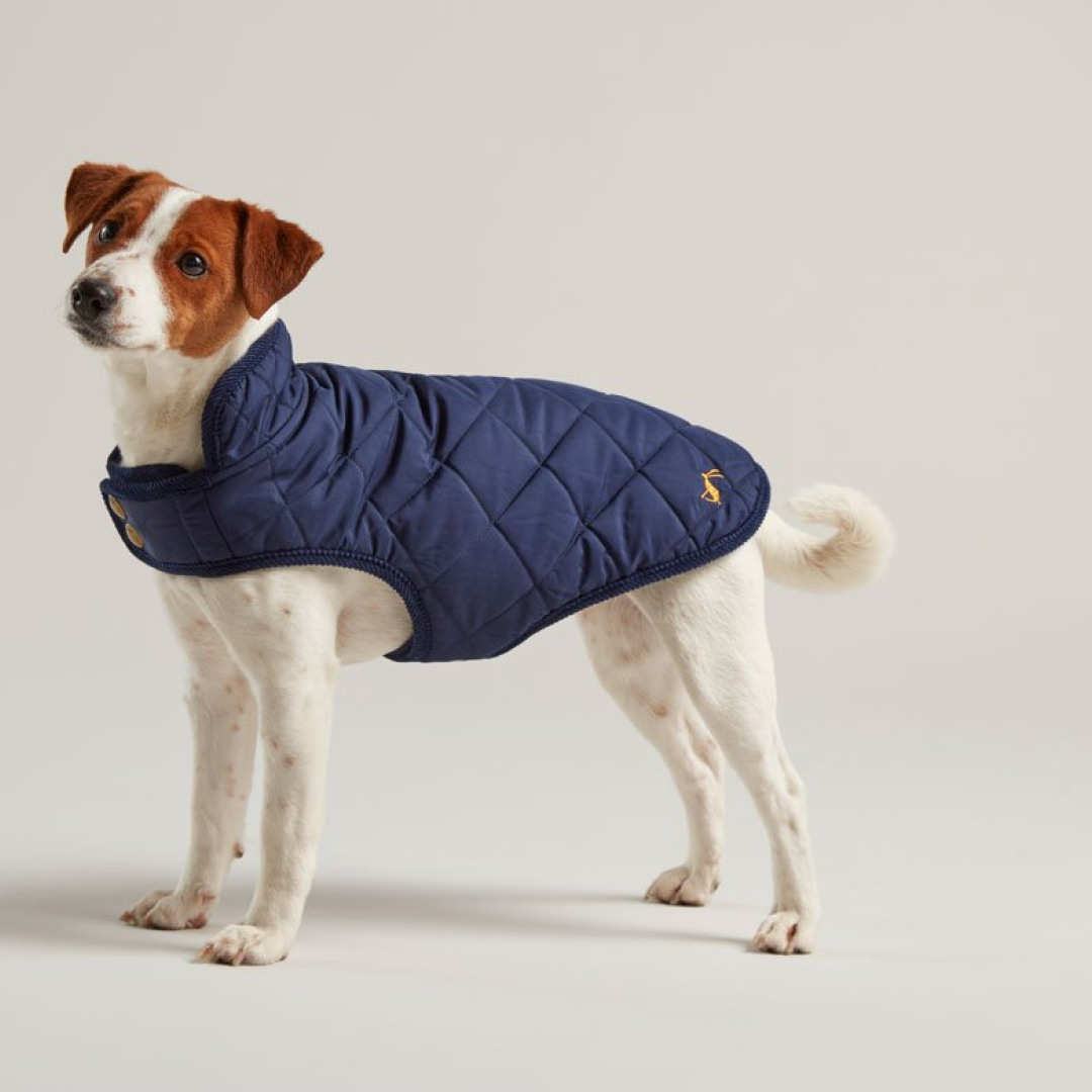 Joules Quilted Dog Coat – GS Equestrian