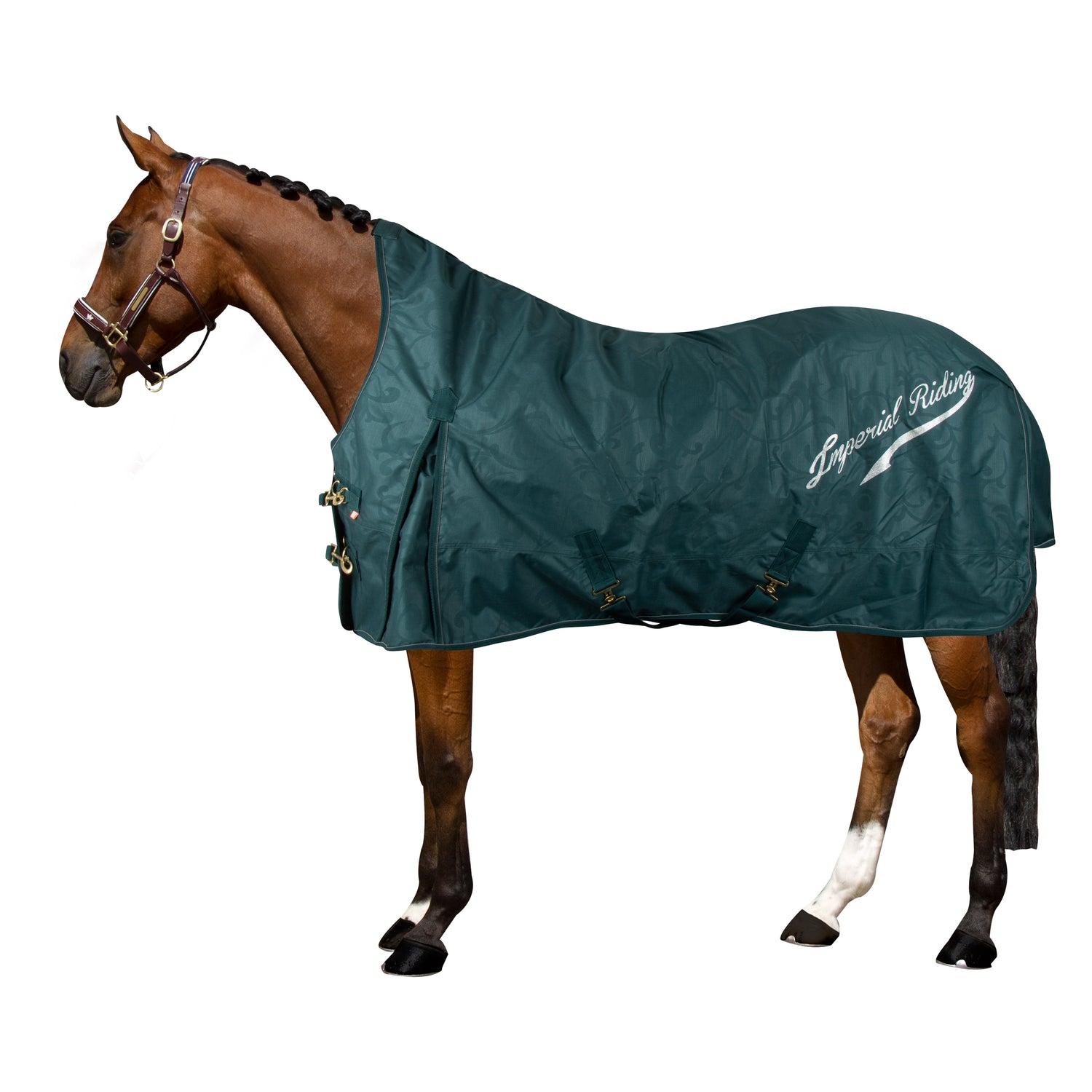 Imperial Riding Super-Dry 100g Turnout Rug #colour_forest-green