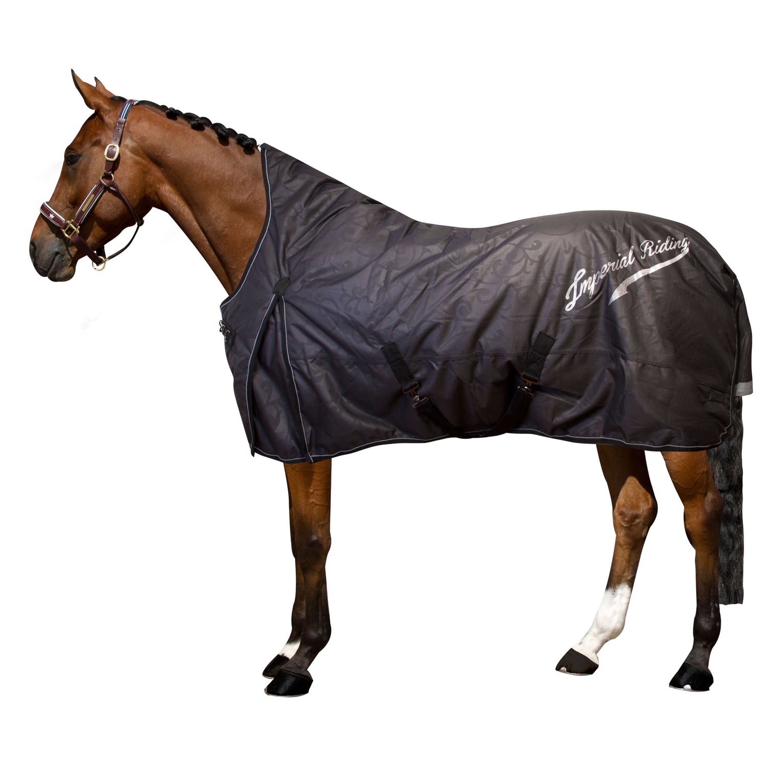 Imperial Riding Super-Dry 100g Turnout Rug #colour_black