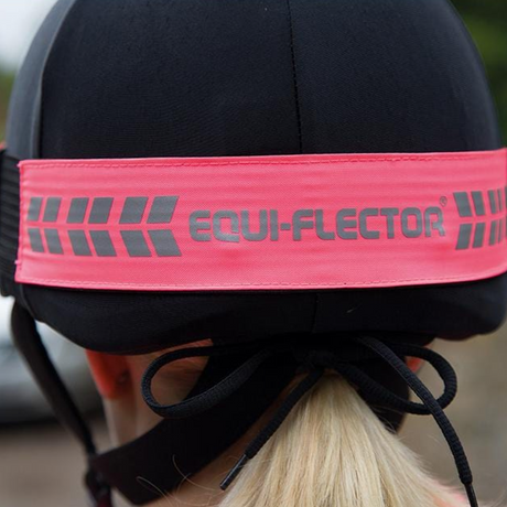 Shrires EQUI-FLECTOR Hat Band #colour_pink