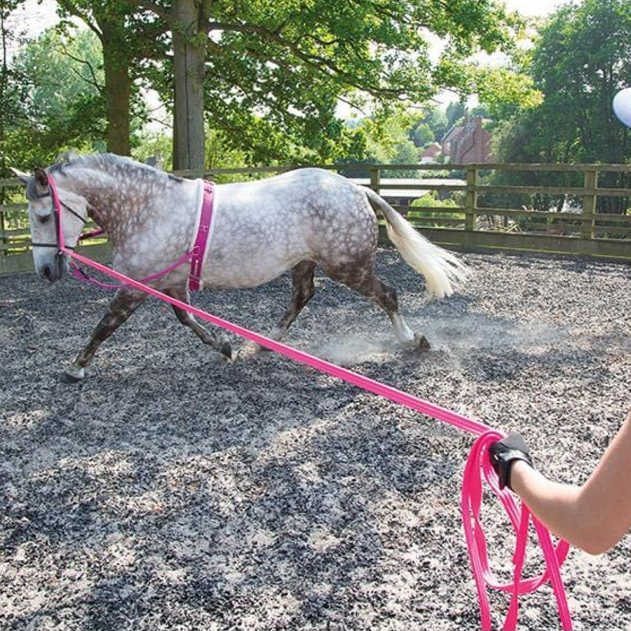 Shires nylon harbridge EHBO-training