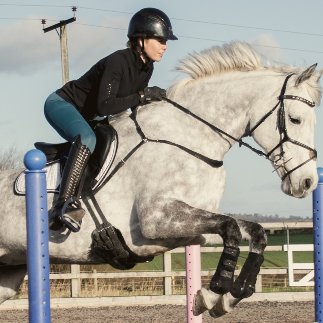 GS Equestrian Dexterity riding tights review