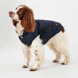 Manteau pour chien Joules Cherington