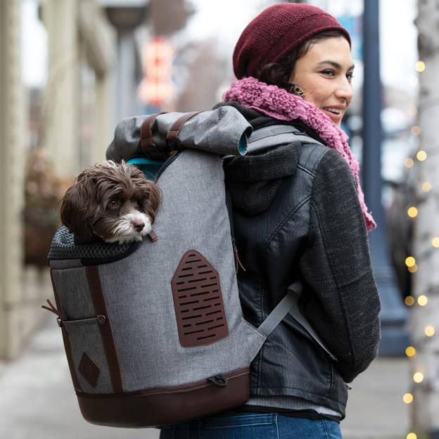 K9 backpack dog hot sale