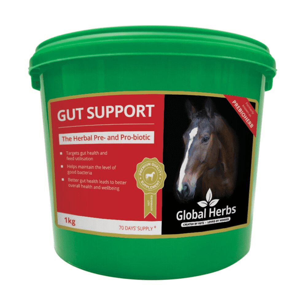 Global Herbs Gut Support