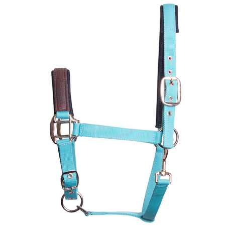 Imperial Riding Shadow Headcollar #colour_turquoise
